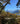 Naturbestattung
