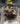 7109 Wiesenblumen - Serie green line