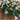 7104 Blumenmeer in Weiß/Gelb