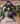 7102 dezenter Blumenakzent