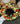 7352 sommerlicher Blumenkreis